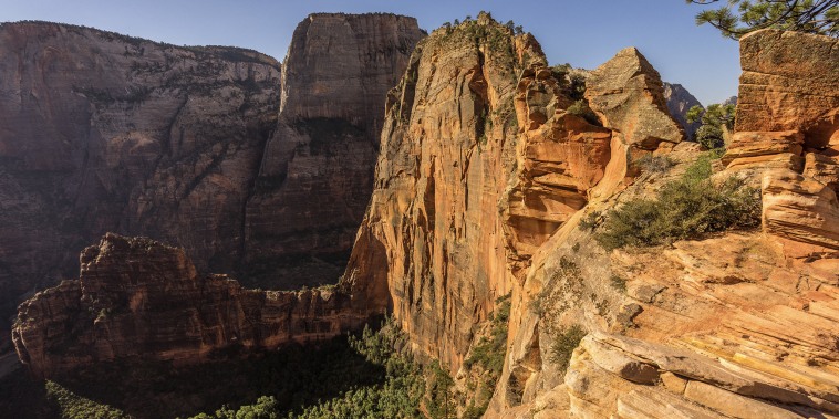 A sweeping desert landscape in Utah's Zion National Park.
