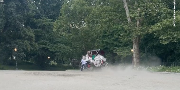 Muere joven de 18 años tras caer de carruaje tirado por caballos en Parque Central