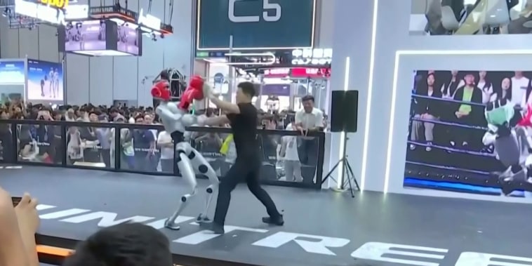 Un robot humanoide pelea contra un ser humano en China