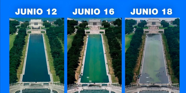 Cómo la piscina reflectante en la que Trump gastó $14 millones se tornó verde