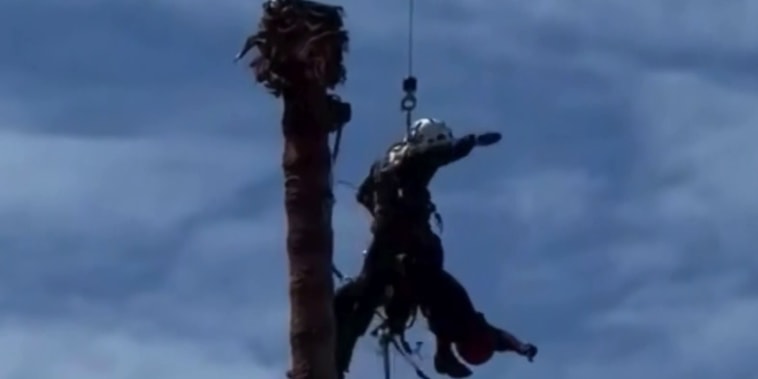 Hombre queda inconsciente a 75 pies de altura en California