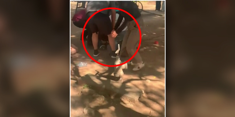 Un jaguar ataca a un niño de 3 años en un centro turístico de México
