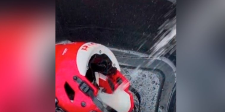Jugador de fútbol americano encuentra serpiente en su casco