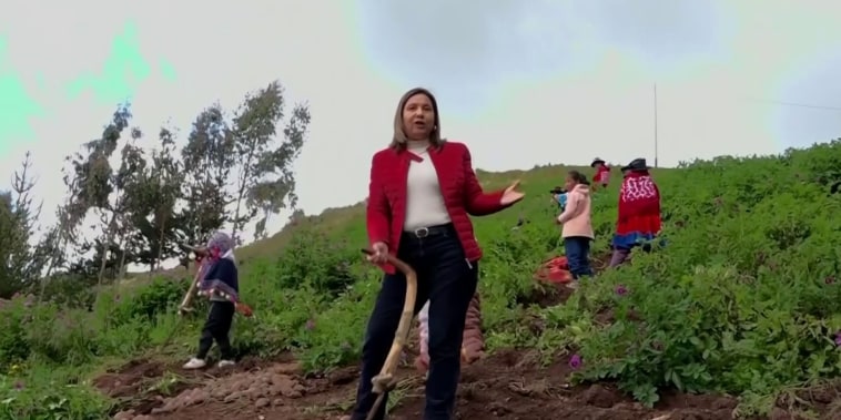 Campesinos peruanos aprenden a usar computadoras