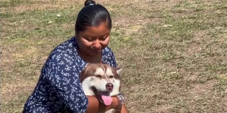 Un perro recibe pensión en México tras el divorcio de sus dueños
