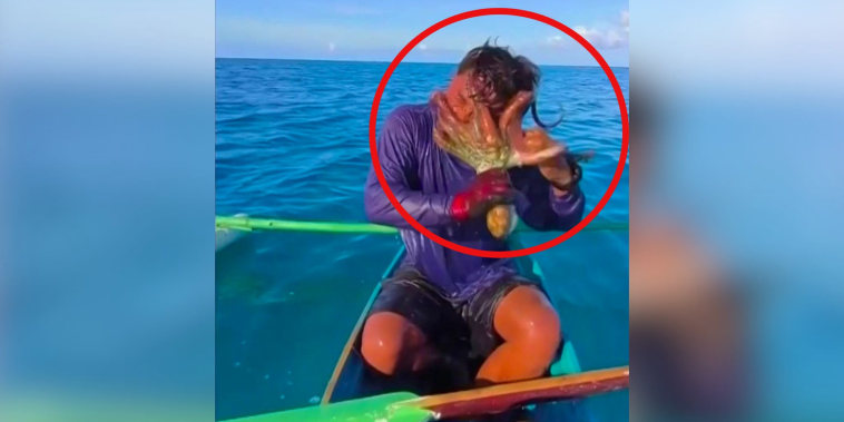 Un pescador filipino lucha con un pulpo que le cubrió la cara con sus tentáculos