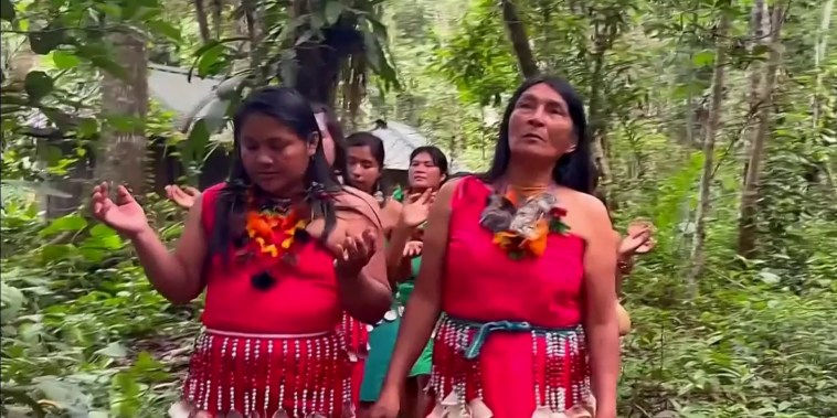 Mujeres indígenas luchan por conservar plantas ancestrales en Perú