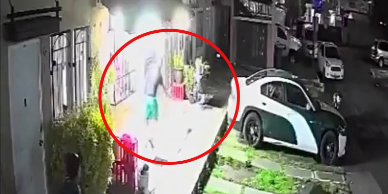 Asesinato a tiros de un perro genera indignación en el Estado de México