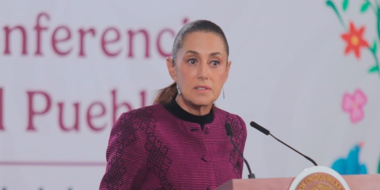 Sheinbaum llama a restringir el tiempo de pantalla de los niños