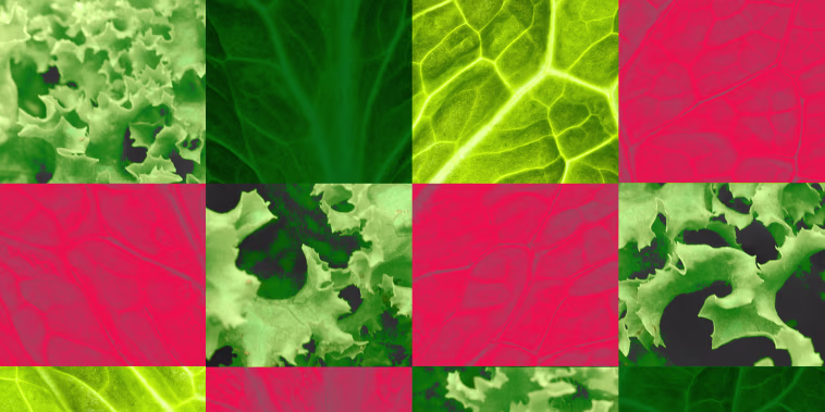 Photo illustration of a grid with different images of lettuce.