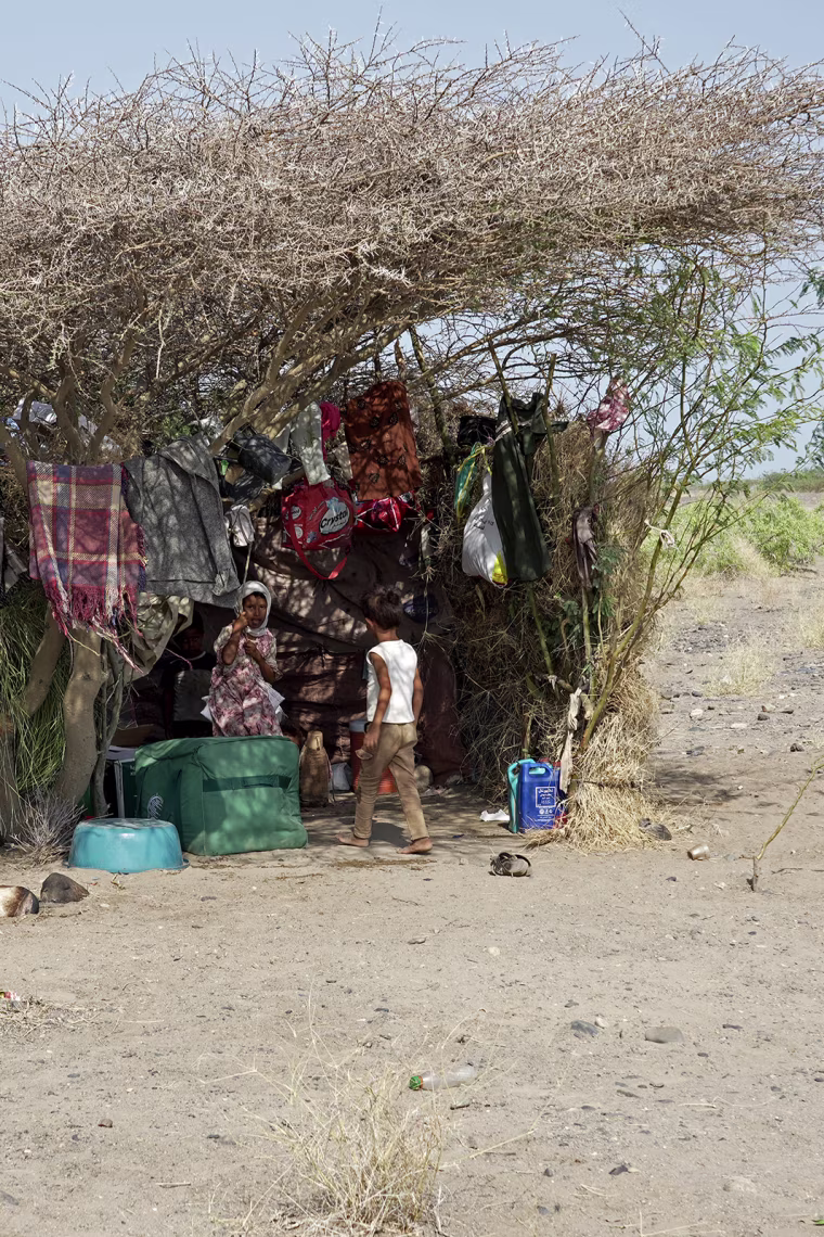 A makeshift shelter of grass and sticks and blankets in the desert.