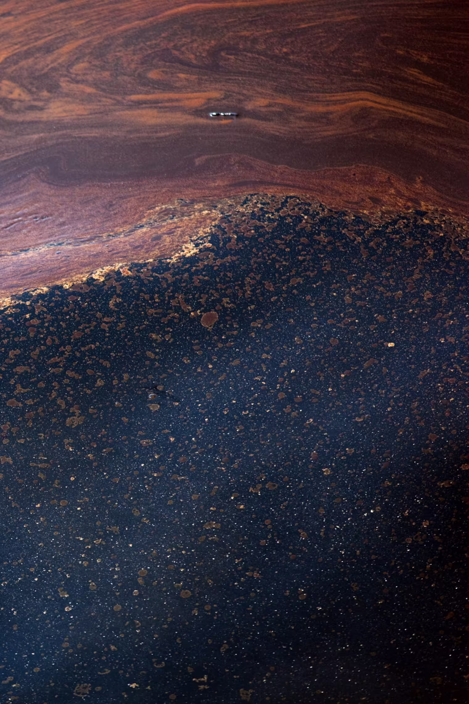 Pools of crude oil float on the surface of Gulf of Mexico waters.