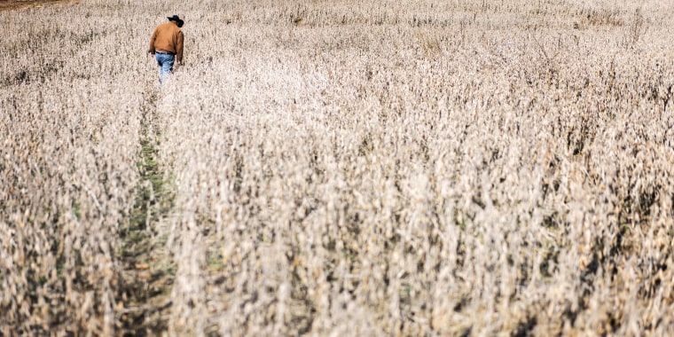 Image: Partial Government Shutdown - soybean subsidies