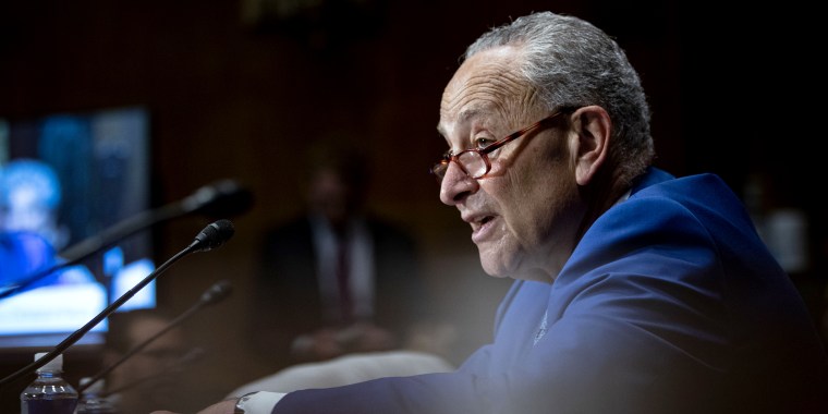 Senate Majority Leader Chuck Schumer speaks during a Senate Judiciary committee hearing in on July 14, 2021.