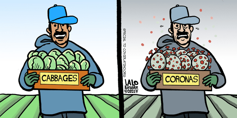 Image: One of Alcaraz' cartoons for CovidLatino.org compares a vaccinated and non-vaccinated Latino farm worker.
