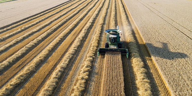 Operations During A Wheat Harvest As Crop Report Shifts