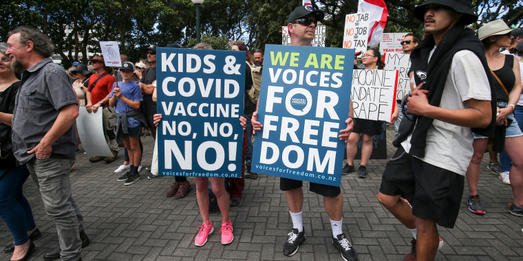 Image: Anti-Lockdown Protesters Gather In Wellington