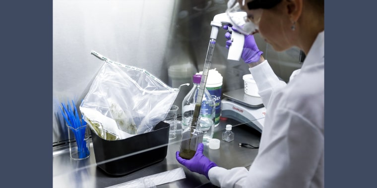Image: Technical assistant, Eliska Didyk transfers human fecal matter solution into a bottle in an OpenBiome laboratory, on June 19, 2014 in Medford, Mass.