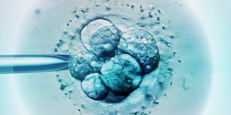 Selección de embriones para la FIV, micrografía de luz.