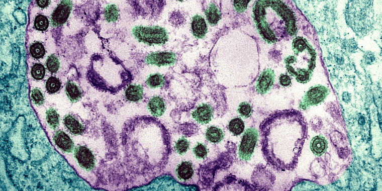 Marburg Virus