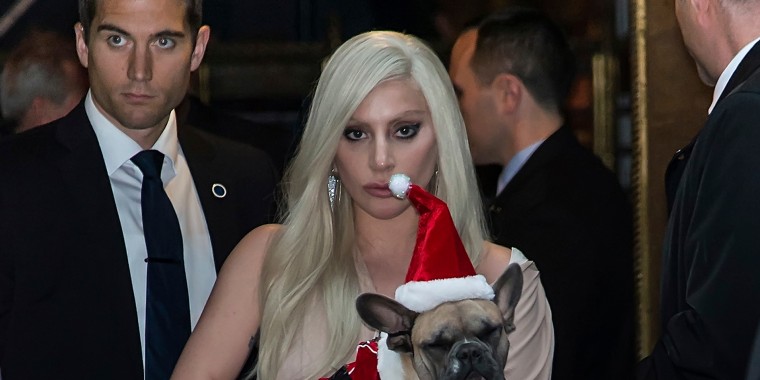 Lady Gaga con una de sus costosas mascotas, un bulldog francés.