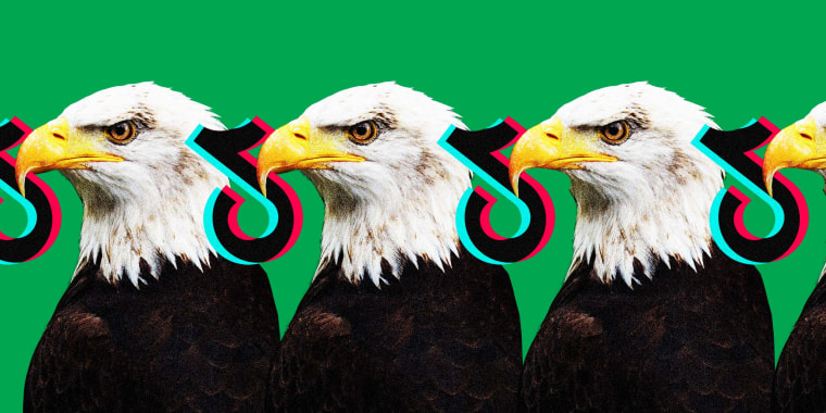 Photo Illustration: A bald eagle with the TikTok logo gripped in its beak