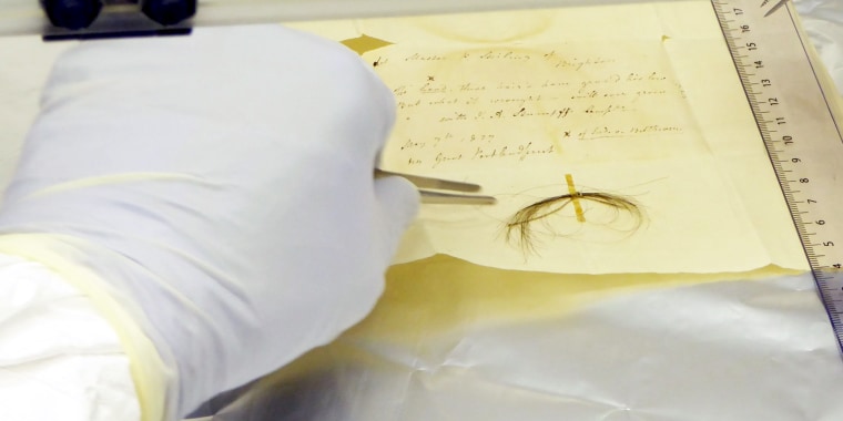 This undated image shows the Stumpff Lock of hair from German composer Ludwig van Beethoven in a laboratory at the Max Planck Institute for the Science of Human History, in Jena, Germany. - Beethoven died in Vienna nearly 200 years ago after a lifetime of composing some of the most influential works in classical music. Ever since, biographers have sought to explain the causes of the German composer's death at the age of 56, his progressive hearing loss and his well-documented struggles with chronic illness. A team of researchers who sequenced Beethoven's genome using locks of the German composer's hair may now have some answers. Liver failure, or cirrhosis, was the possible cause of Beethoven's death brought about by a number of factors, including the composer's alcohol consumption, they said.