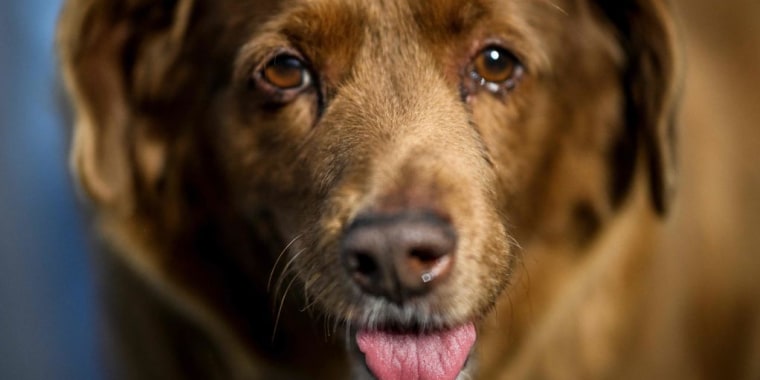 HeadlineImage