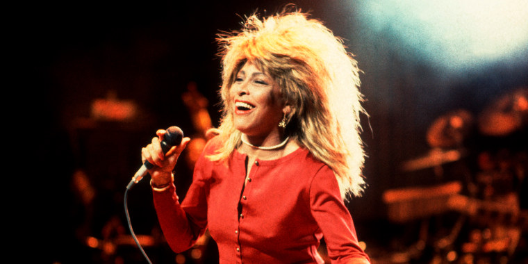 Tina Turner performs onstage at the Poplar Creek Music Theater, Hoffman Estates, Illinois, September 12, 1987. 