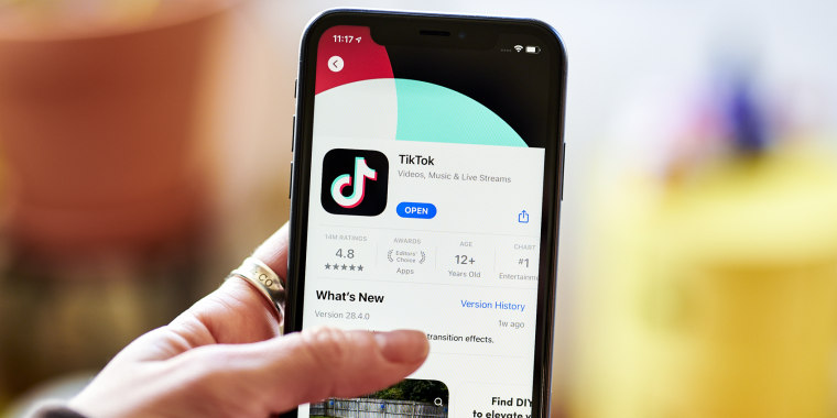 The TikTok application download screen in the Apple App Store on a smartphone.