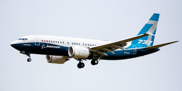 A Boeing 737 MAX airliner
