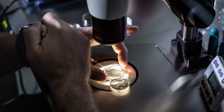 An embryologist adds media to petri dishes containing embryos, before freezing the embryos, in Fountain Valley, Calif.