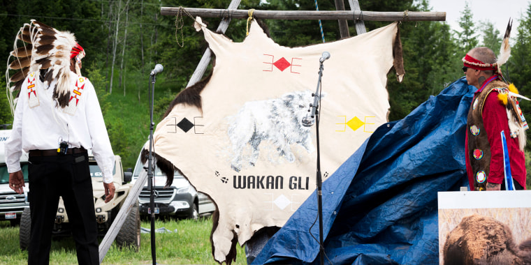 Arvol Looking Horse, a spiritual leader of the Lakota, Dakota and Nakota peoples in South Dakota, left, watches a tarp fall, revealing the name of a recently born white buffalo calf during a naming ceremony for the sacred animal.