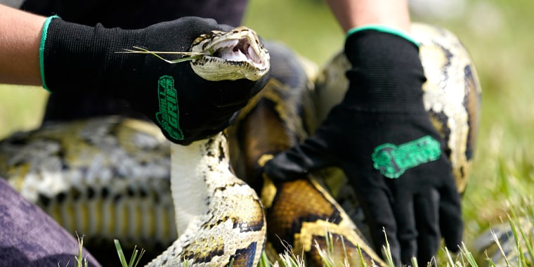 HeadlineImage