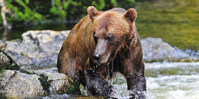 HeadlineImage