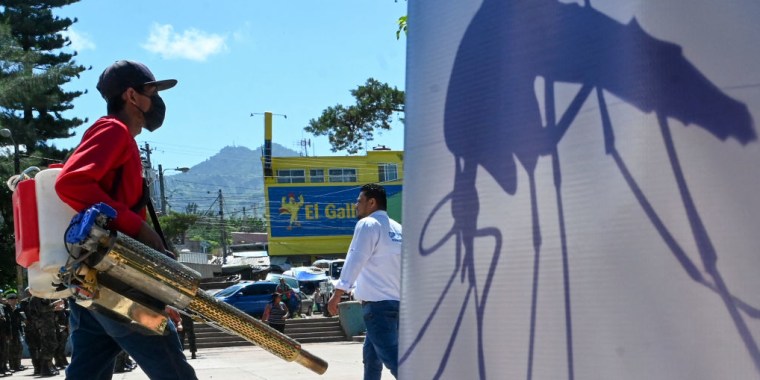 Un empleado de sanidad fumiga contra los mosquitos en Tegucigalpa, Honduras, el 23 de agosto de 2024.
