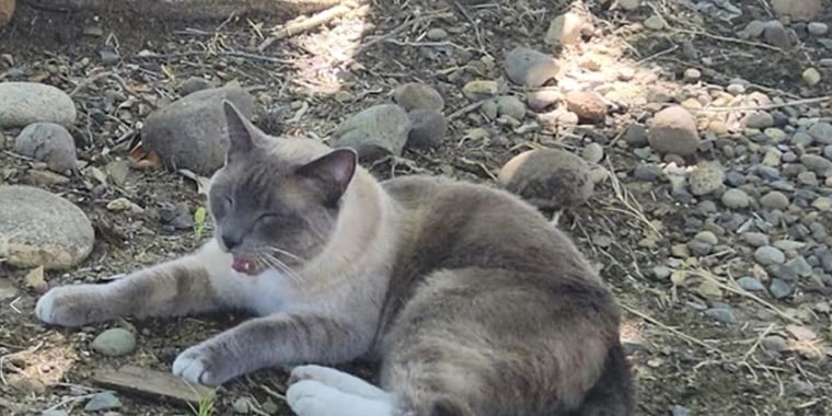 HeadlineImage