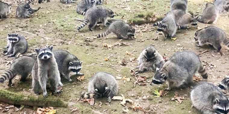HeadlineImage