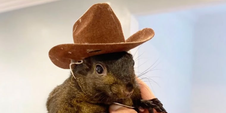 HeadlineImage