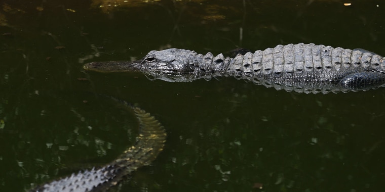 HeadlineImage