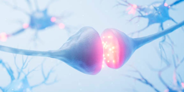 Neuronas