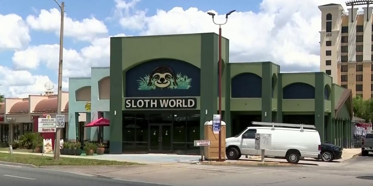 Mueren más de 300 perezosos en atracción turística por abrir