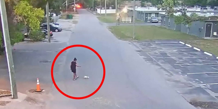 Captan a una mujer atacar brutalmente a un perro en Tampa