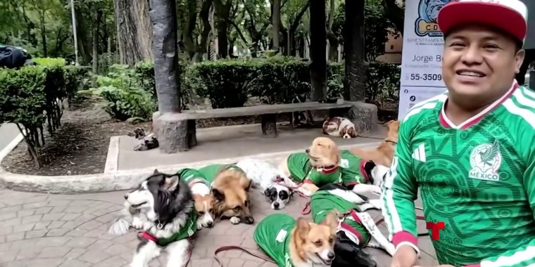 Entrenador canino vistió a sus alumnos con la playera de México para apoyar al ‘Tri’