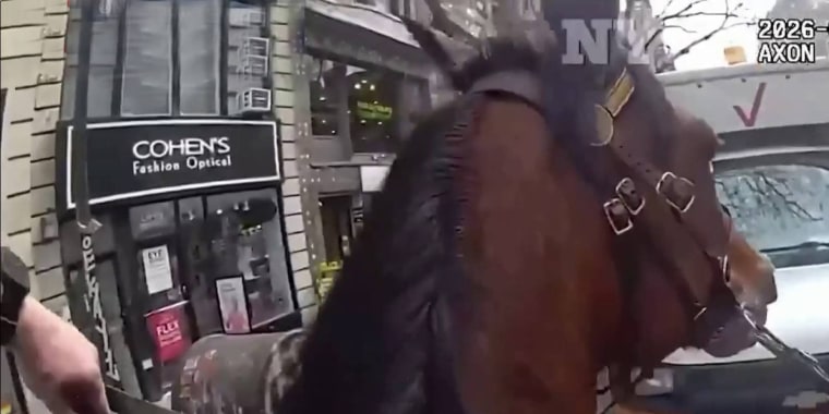 Vea la persecución a caballo a sospechosa de robo en Nueva York