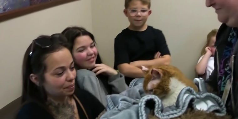 Un gato rescatado de incendio se reencuenta con su familia