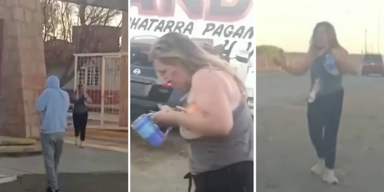 Jueza muere en México tras ser atacada por un enjambre de abejas