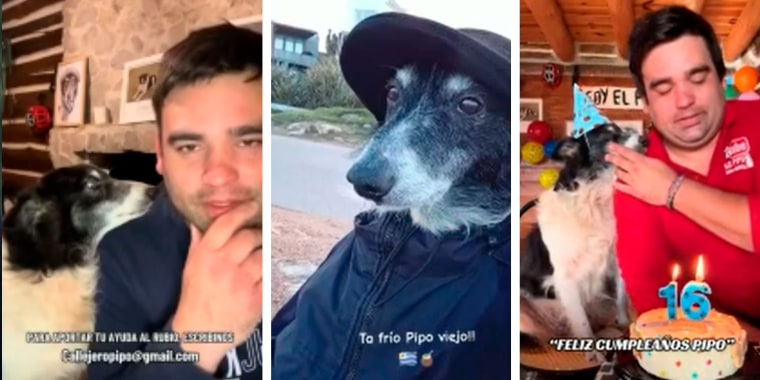 Un uruguayo y su perro rescatado conmueven a millones en redes