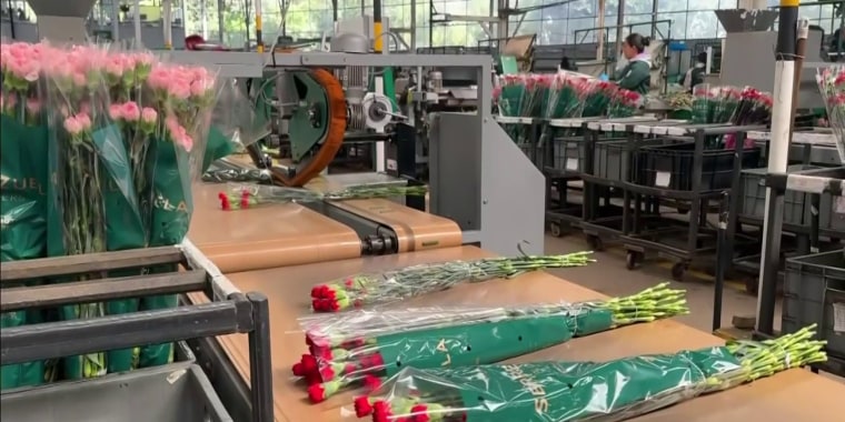 Millones de flores llegan a EE.UU. para el Día de las Madres