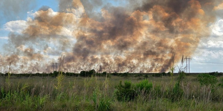 Bomberos contienen en un 60% los incendios de maleza en Florida